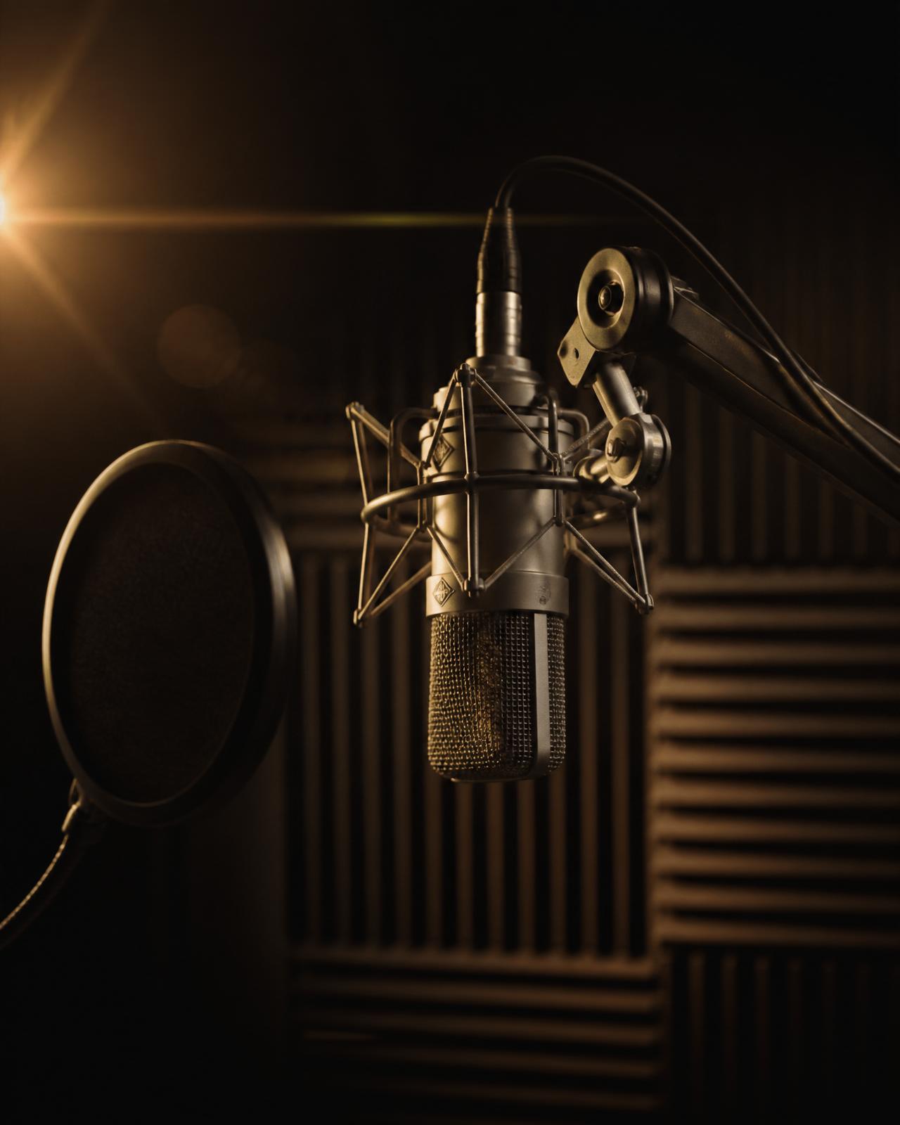 Neumann condenser microphone